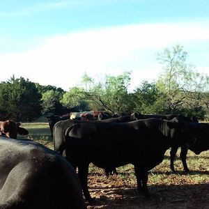 Meet your Posher, Edgar